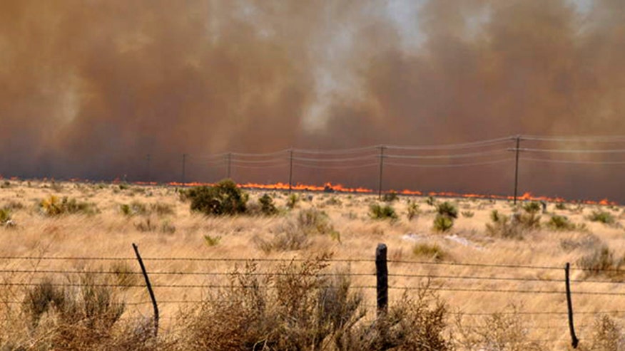 Texas Wildfire Presidio County AP.jpg